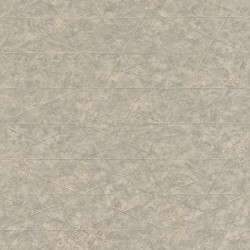 Обои RH554342 Rasch Excellent 0.53x10.05